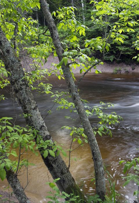 Carp River, Michigan