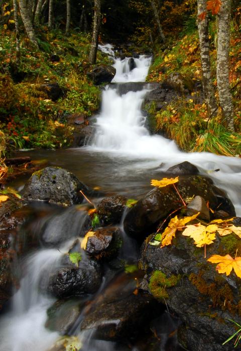 Clackamas River, Oregon