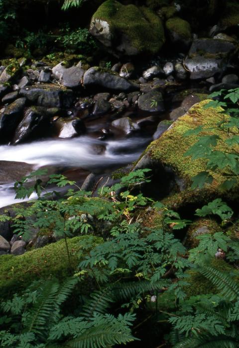 Eagle Creek, Oregon