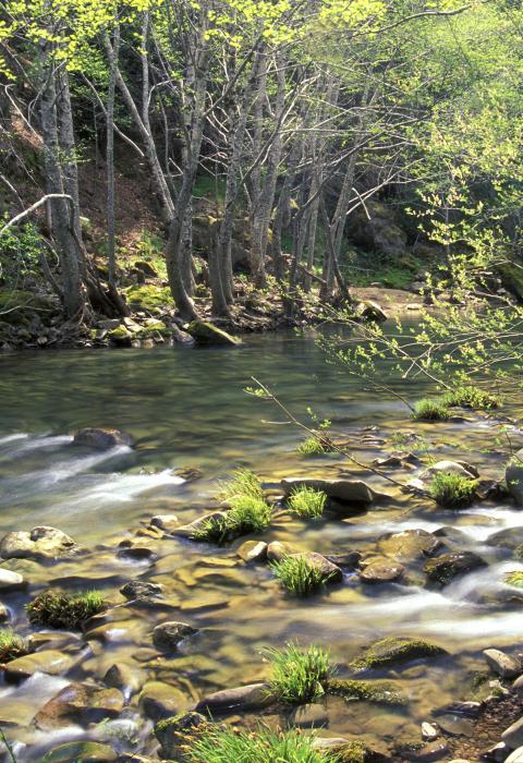 Eel River, California