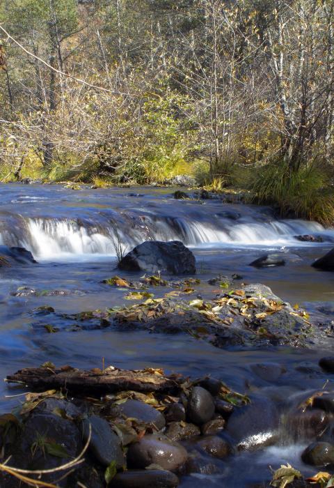 Elk Creek, Oregon