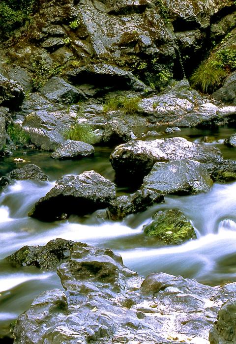Elk River, Oregon