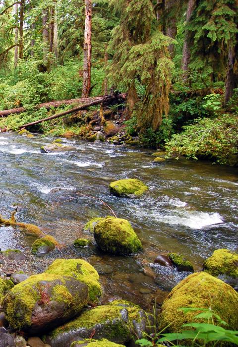 Elkhorn Creek, Oregon