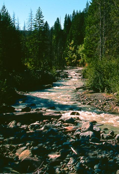 Middle Fork Hood River, Oregon