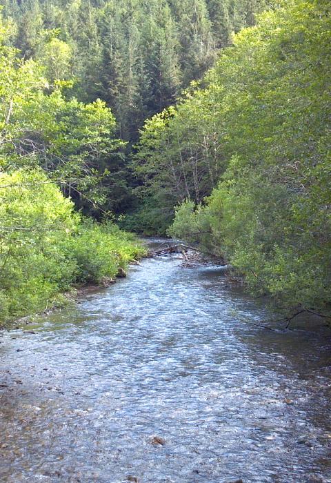 Illabot Creek, Washington