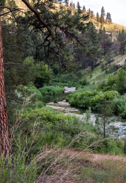 South Fork John Day River, Oregon