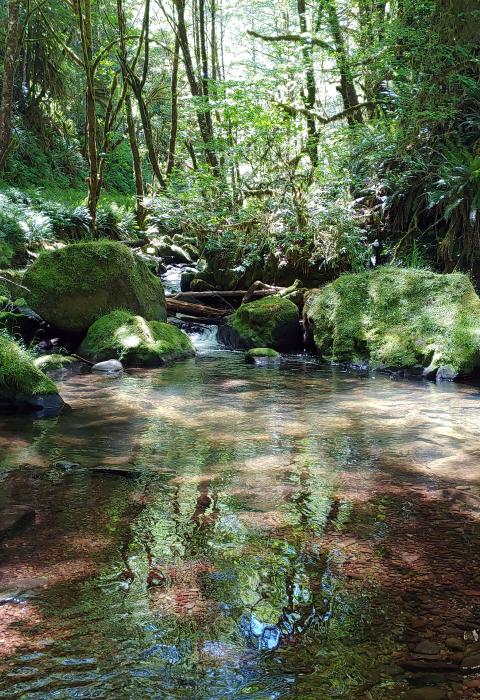 Lobster Creek, Oregon