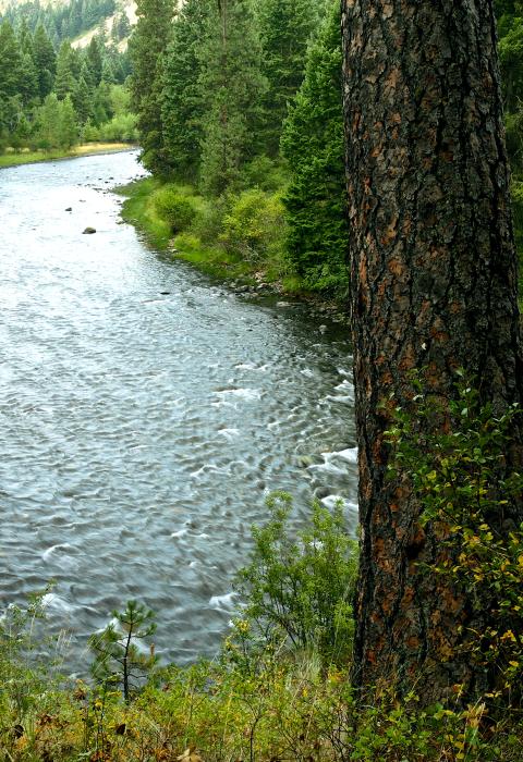 Minam River, Oregon