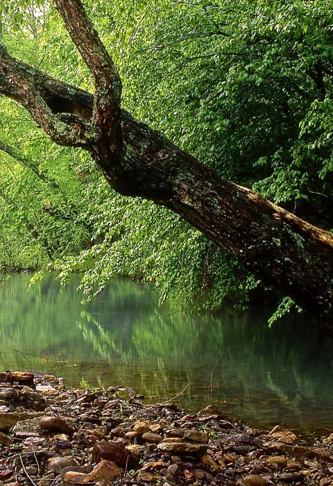 Mulberry River, Arkansas