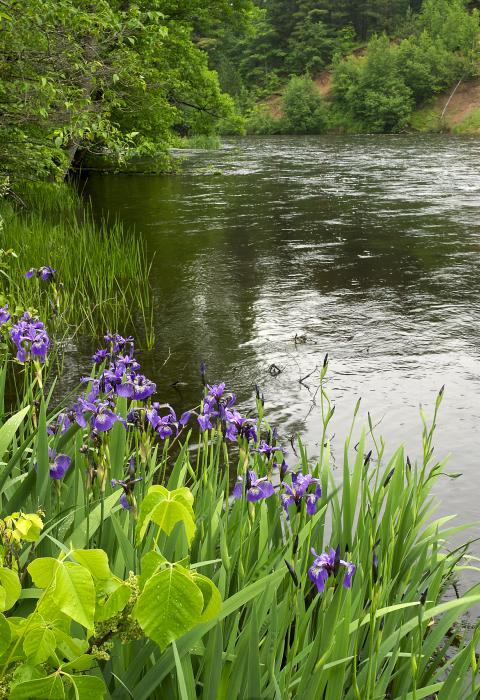 Namekagon River, Wisconsin