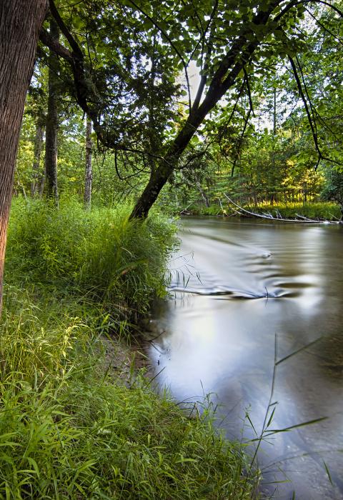 Pere Marquette River, Michigan