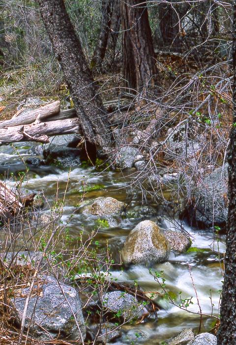 North Fork San Jacinto River, California