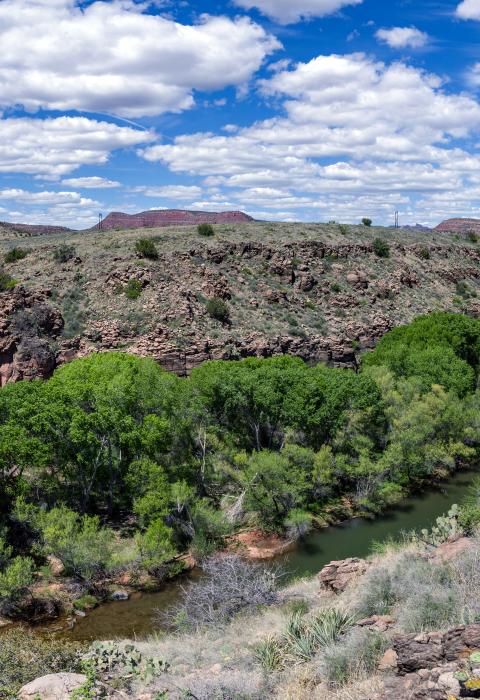 Verde River, Arizona