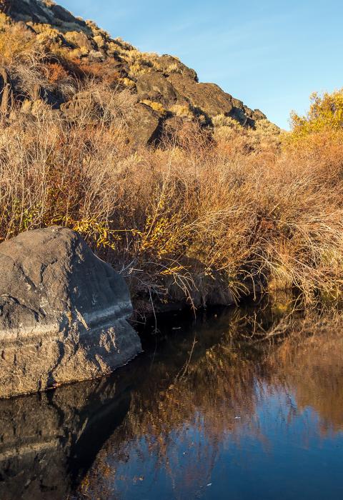 West Little Owyhee River, Oregon