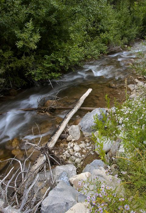 Wolf Creek, Wyoming