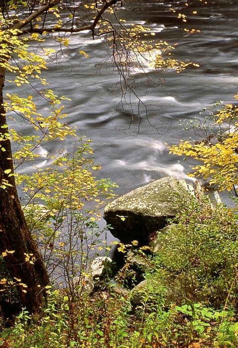 West Branch Farmington River, Connecticut