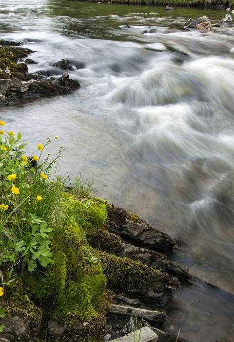 Fortymile River, Alaska