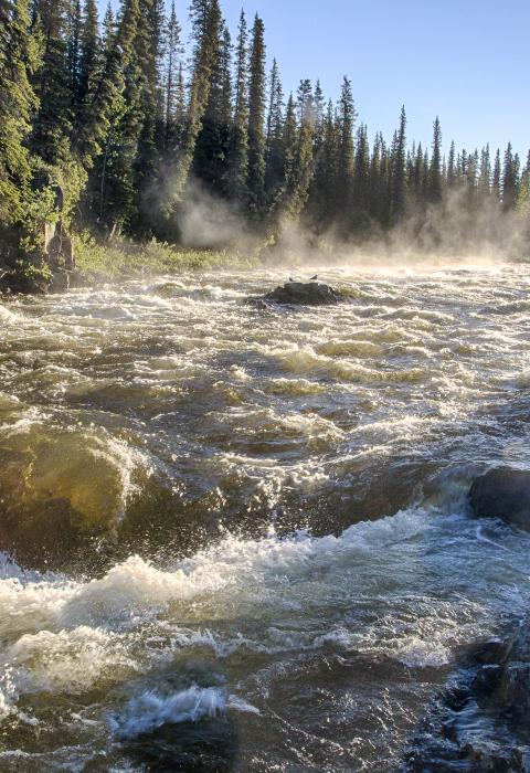 Gulkana River, Alaska