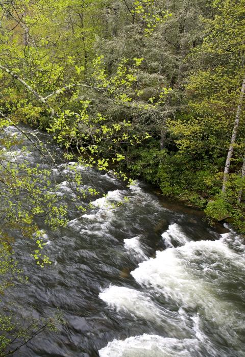 Horsepasture River, North Carolina