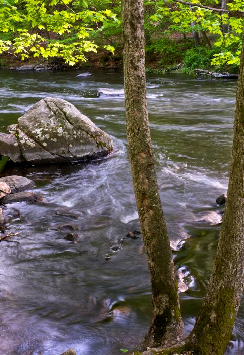 Musconetcong River, New Jersey