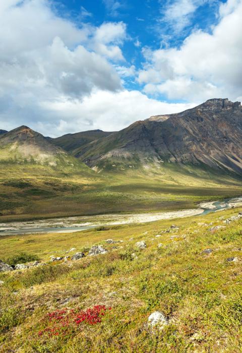 Noatak River, Alaska