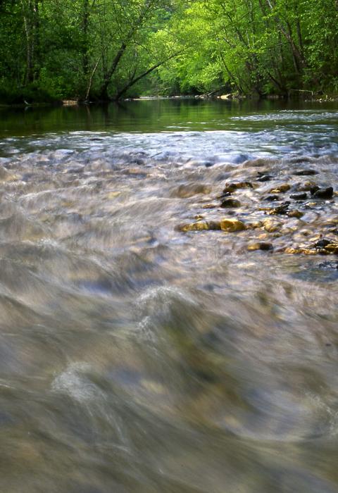 North Sylamore Creek, Arkansas