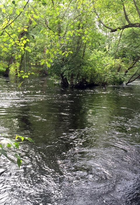 Great Egg Harbor River, New Jersey