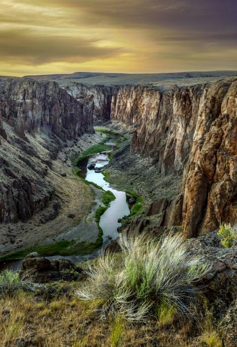 Owyhee River, Idaho