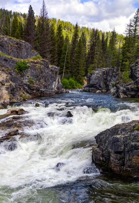 Middle Fork Salmon River, Idaho