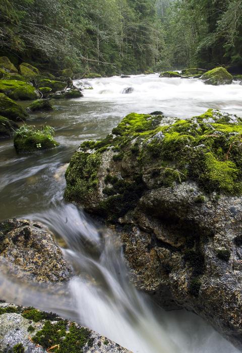 Sauk River, Washington