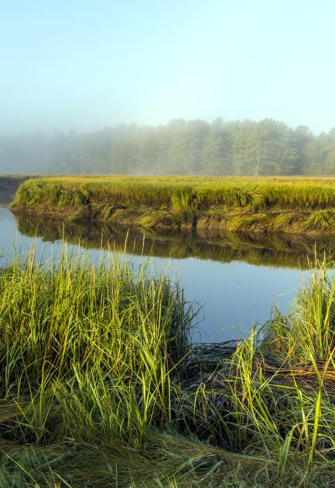 York River, Maine