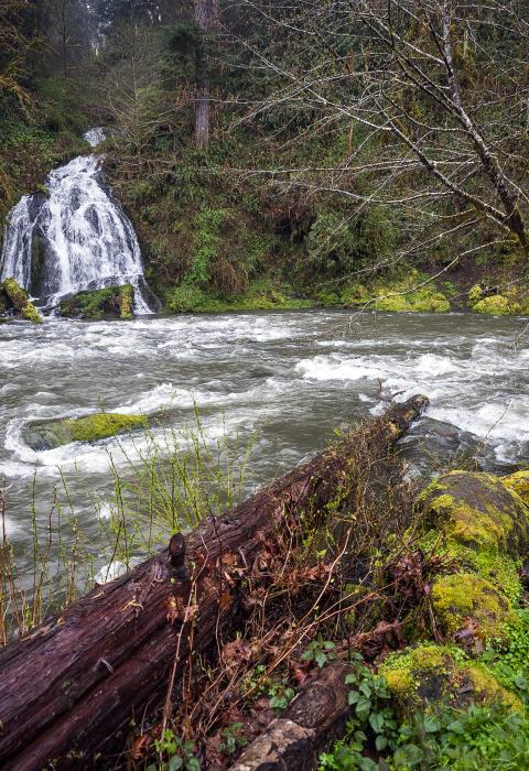 Nestucca River, Oregon