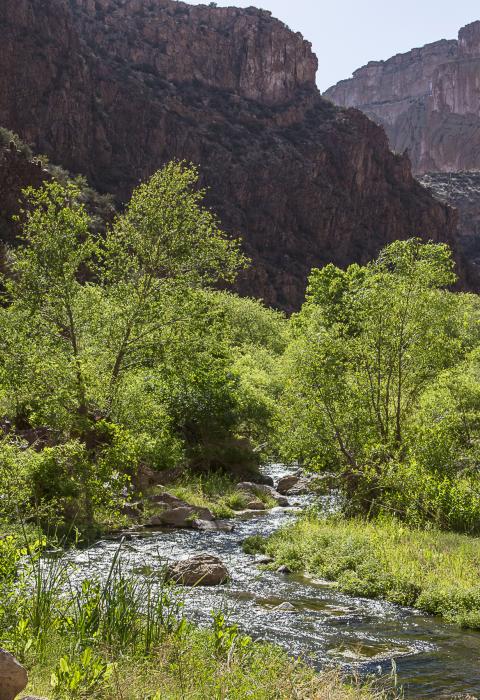 Aravaipa Creek, Arizona