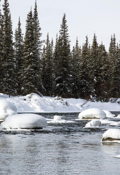 Gulkana River, Alaska