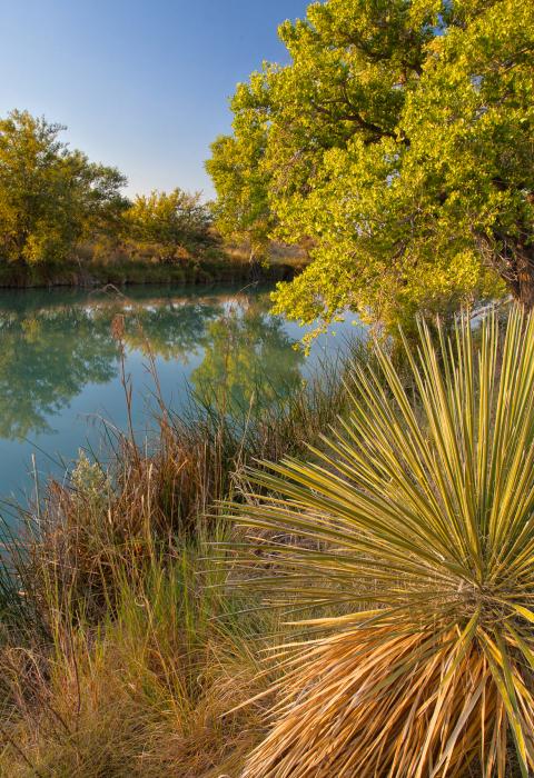 Black River, New Mexico
