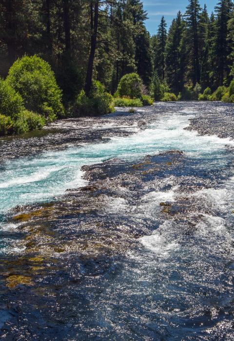 Metolius River, Oregon