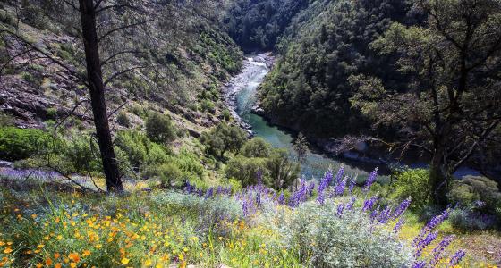 North Fork American River, California