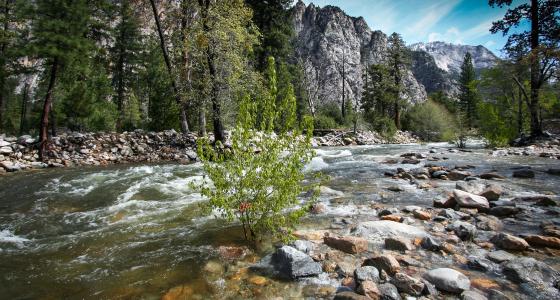 Kings River, California