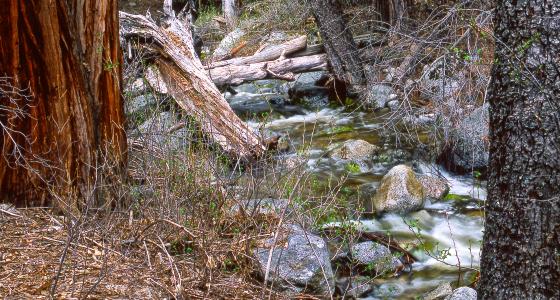 North Fork San Jacinto River, California