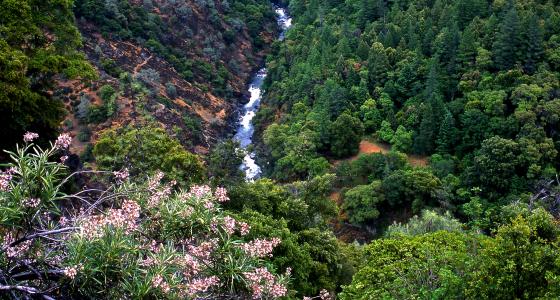 Trinity River, California