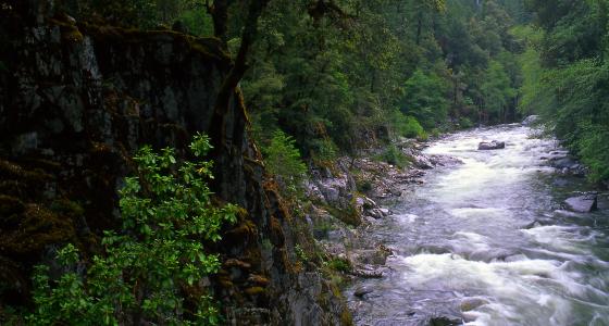 Wooley Creek, California