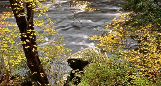 West Branch Farmington River, Connecticut
