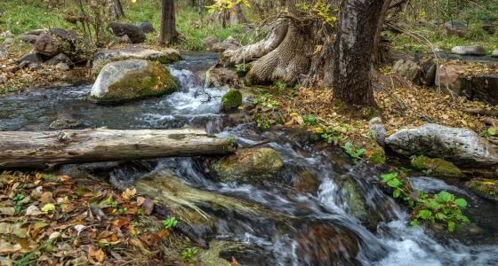 Fossil Creek, Arizona