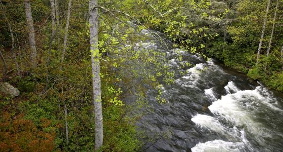 Horsepasture River, North Carolina