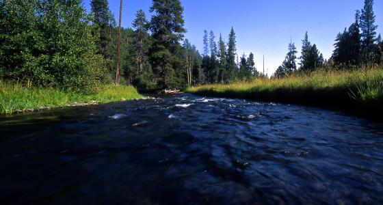 North Fork Malheur River, Oregon