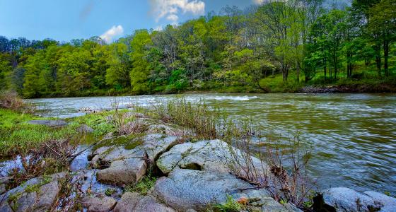 New River, North Carolina