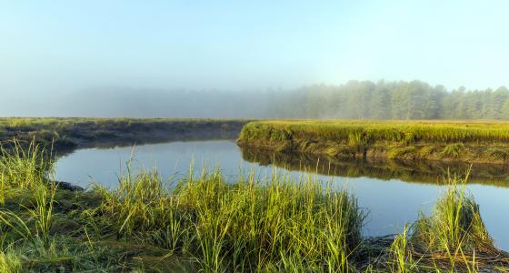 York River, Maine