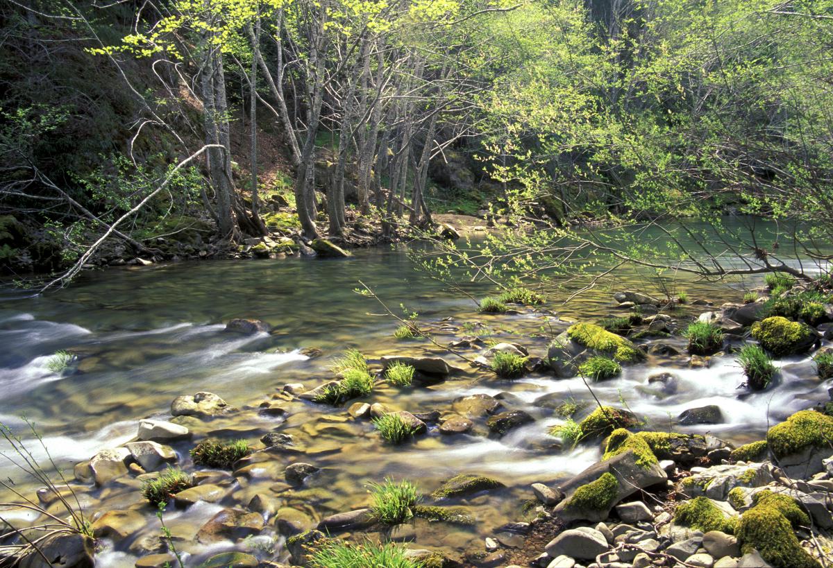 Eel River, California