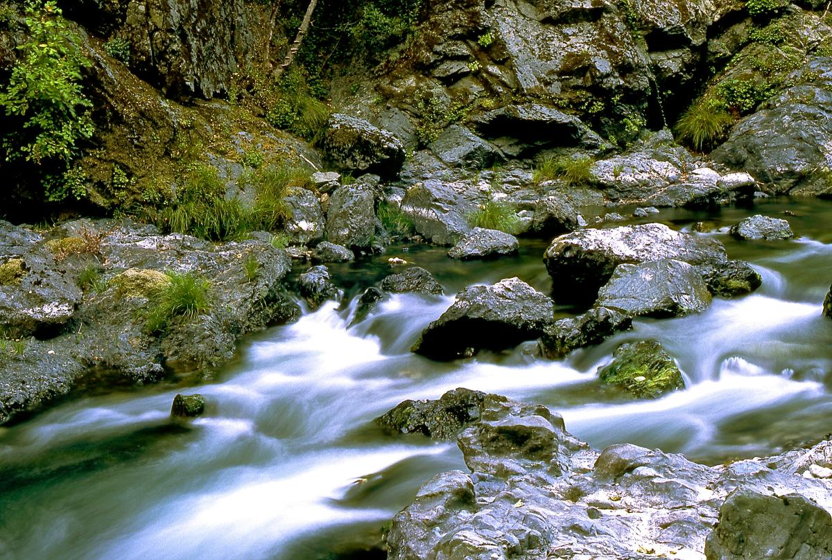 Elk River, Oregon