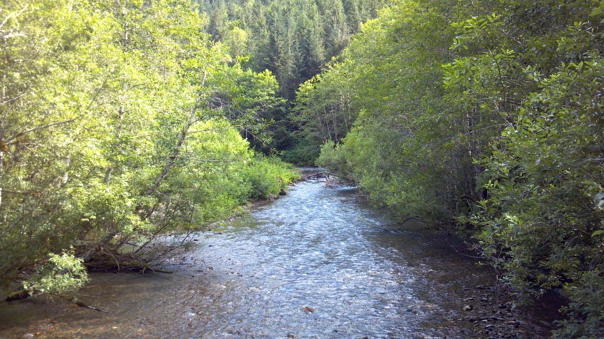 Illabot Creek, Washington